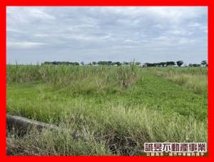 誠昱/安南區北興段持分都.