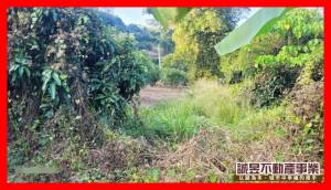 誠昱/超大農地價錢超低果.